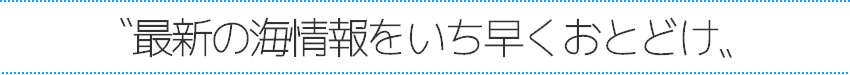 伊豆自然学校シーカヤック最新の海情報をいち早くおとどけ
